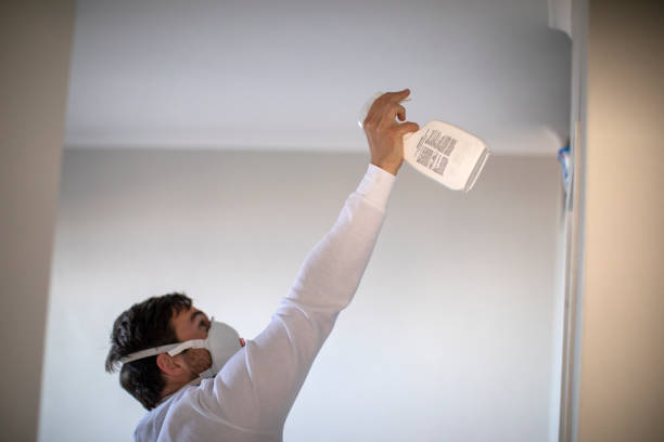 Best Water Damage Restoration  in Arcola, IL