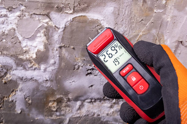 Best Mold Remediation  in Arcola, IL