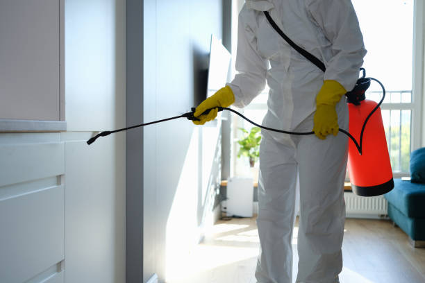Professional Mold Removal in Arcola, IL