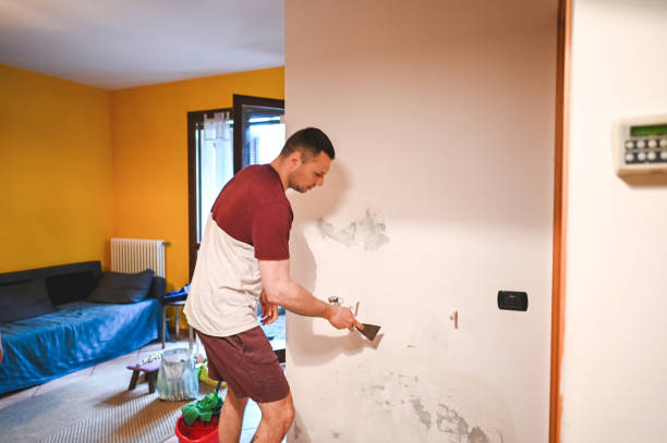 Best Professional Mold Removal  in Arcola, IL